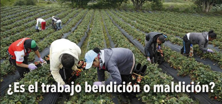 BANNER Trabajo es bendicion o maldicion